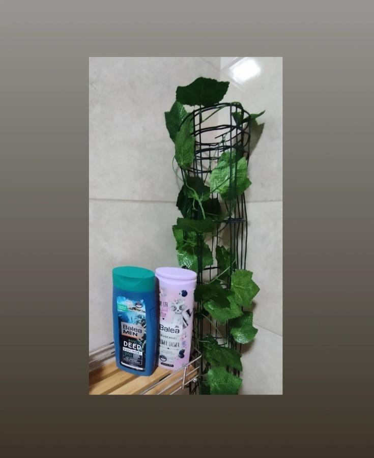 Apartmani S - Dsn Kraljevo Exteriör bild