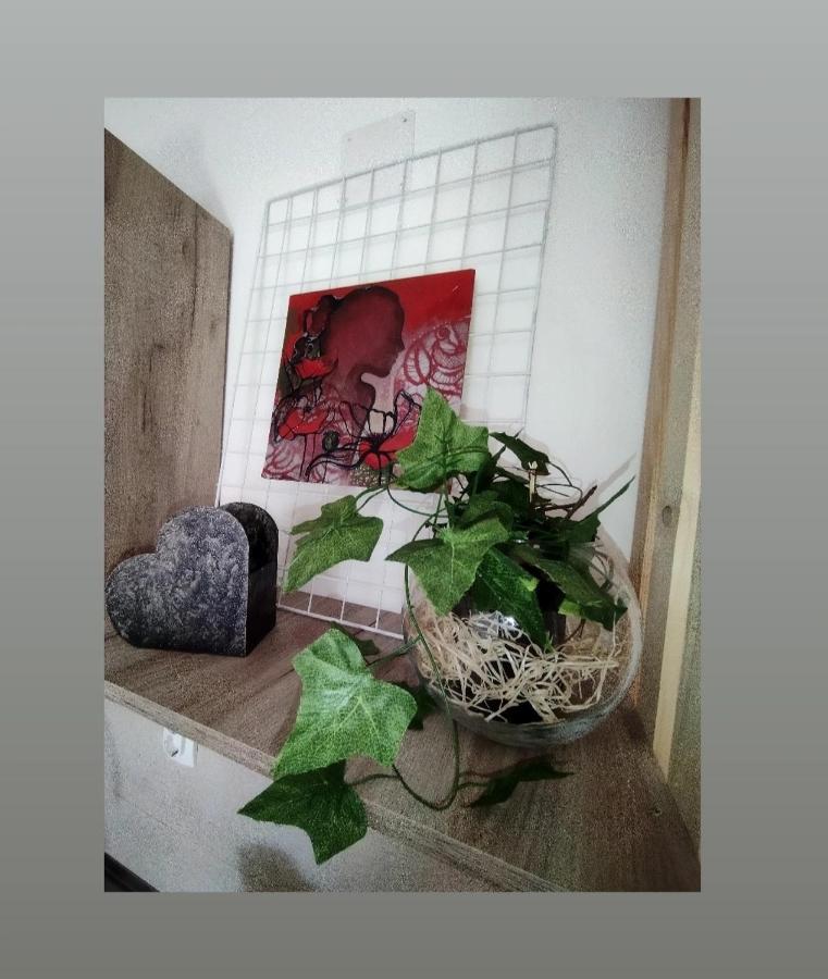 Apartmani S - Dsn Kraljevo Exteriör bild